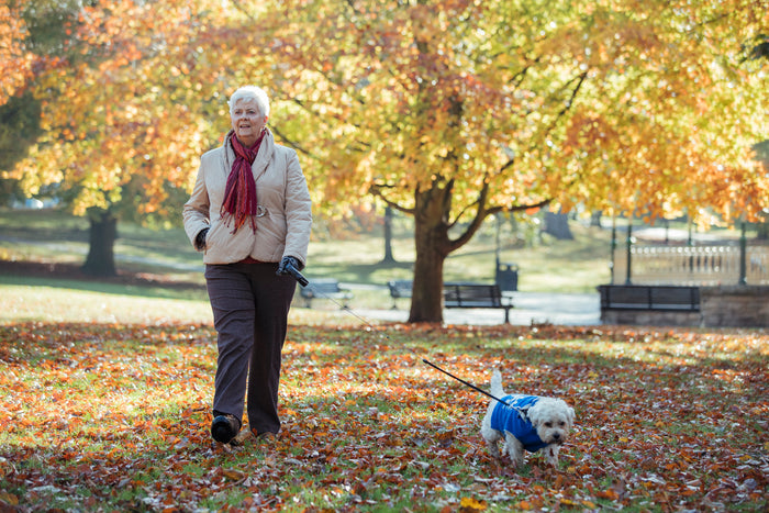 Health and Wellness in later life