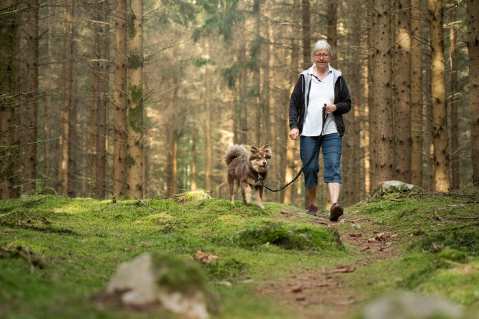 Heatwave Safety for the Elderly