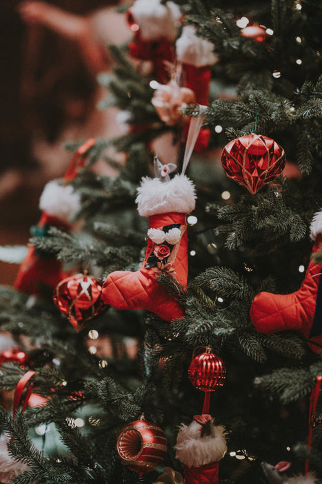 Caring for the Elderly this Christmas
