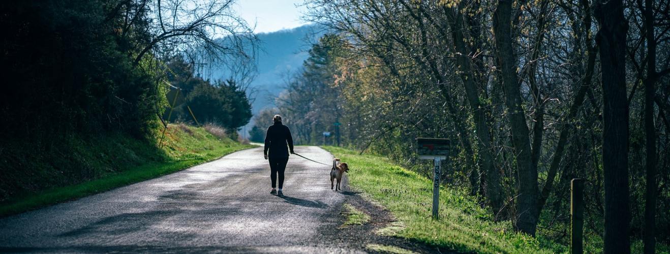 Stress-Free Dog Walks With a GPS Pet Tracker